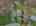 Blurred preview of media: 7-cecilia-ct-vernon-township-nj-usa-drone-010