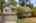 Blurred preview of media: 1-4