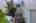 Blurred preview of media: 1-53