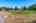 Blurred preview of media: 01
