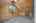 Blurred preview of media: NZ9_9479