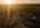 Blurred preview of media: TWILIGHT