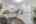 Blurred preview of media: IMG_4752