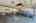 Blurred preview of media: 1-33