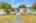 Blurred preview of media: 4