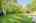 Blurred preview of media: 7 Wallis Ave, Smithville _ Nathan Ferro67