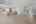 Blurred preview of media: DSC_8506