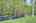 Blurred preview of media: DSC02313
