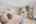 Blurred preview of media: 198 Borden Rd (34)