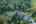 Blurred preview of media: 3