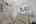 Blurred preview of media: 76-shades-of-death-road-great-meadows-n-j-house-030