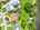 Blurred preview of media: Unknown media