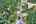 Blurred preview of media: DJI_0174_5_6_easyHDR