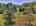 Blurred preview of media: 9zzi