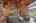 Blurred preview of media: 006