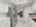 Blurred preview of media: Daytime67