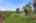 Blurred preview of media: DSC05476