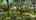Blurred preview of media: Unknown media