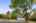 Blurred preview of media: 1-1