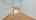 Blurred preview of media: Unknown media