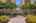 Blurred preview of media: DSC06555