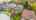Blurred preview of media: 82