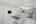 Blurred preview of media: 5106_Paseo_del_Pavon_008