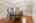 Blurred preview of media: 39 Bare Hill Road Bolton Massachusetts Job 37993 0010