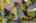 Blurred preview of media: Aerial 09 Marker