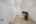 Blurred preview of media: DSC01507
