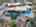 Blurred preview of media: DJI_0091-HDR
