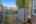 Blurred preview of media: IMG_2988