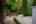 Blurred preview of media: 20250808L_lg_JW0020