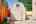 Blurred preview of media: 1930 Tahoe Cir-136
