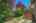 Blurred preview of media: 32