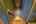 Blurred preview of media: IMG_8479_80_81