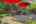 Blurred preview of media: 23