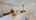 Blurred preview of media: Unknown media