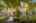 Blurred preview of media: 1-5