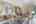 Blurred preview of media: IMG_3528