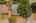 Blurred preview of media: 5500MeadowOakSt-57
