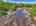 Blurred preview of media: 9zzzj