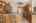 Blurred preview of media: h_b-15