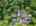 Blurred preview of media: 51-roosevelt-trail-hopatcong-nj-usa-drone-006