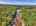 Blurred preview of media: 9zzzv