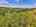 Blurred preview of media: DJI_20250602145332_0595_D_6_D_7_D_easyHDR