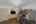 Blurred preview of media: DSC03381
