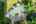Blurred preview of media: DJI_0781 copy 2