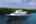 Blurred preview of media: Good Answer_-2