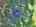 Blurred preview of media: DJI_20260829120602_0249_D_50_D_51_D_easyHDR